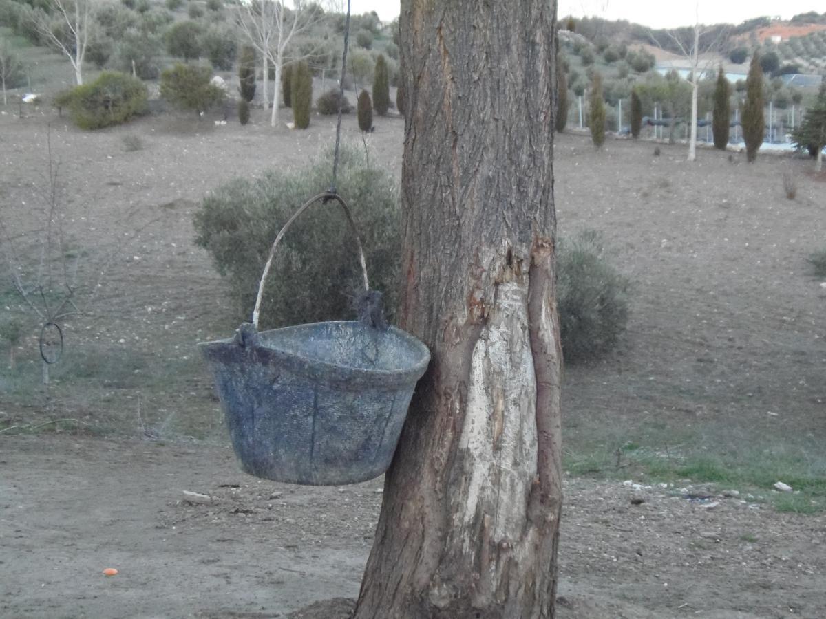 Cortijo Moyano Affittacamere Alhama de Granada Esterno foto