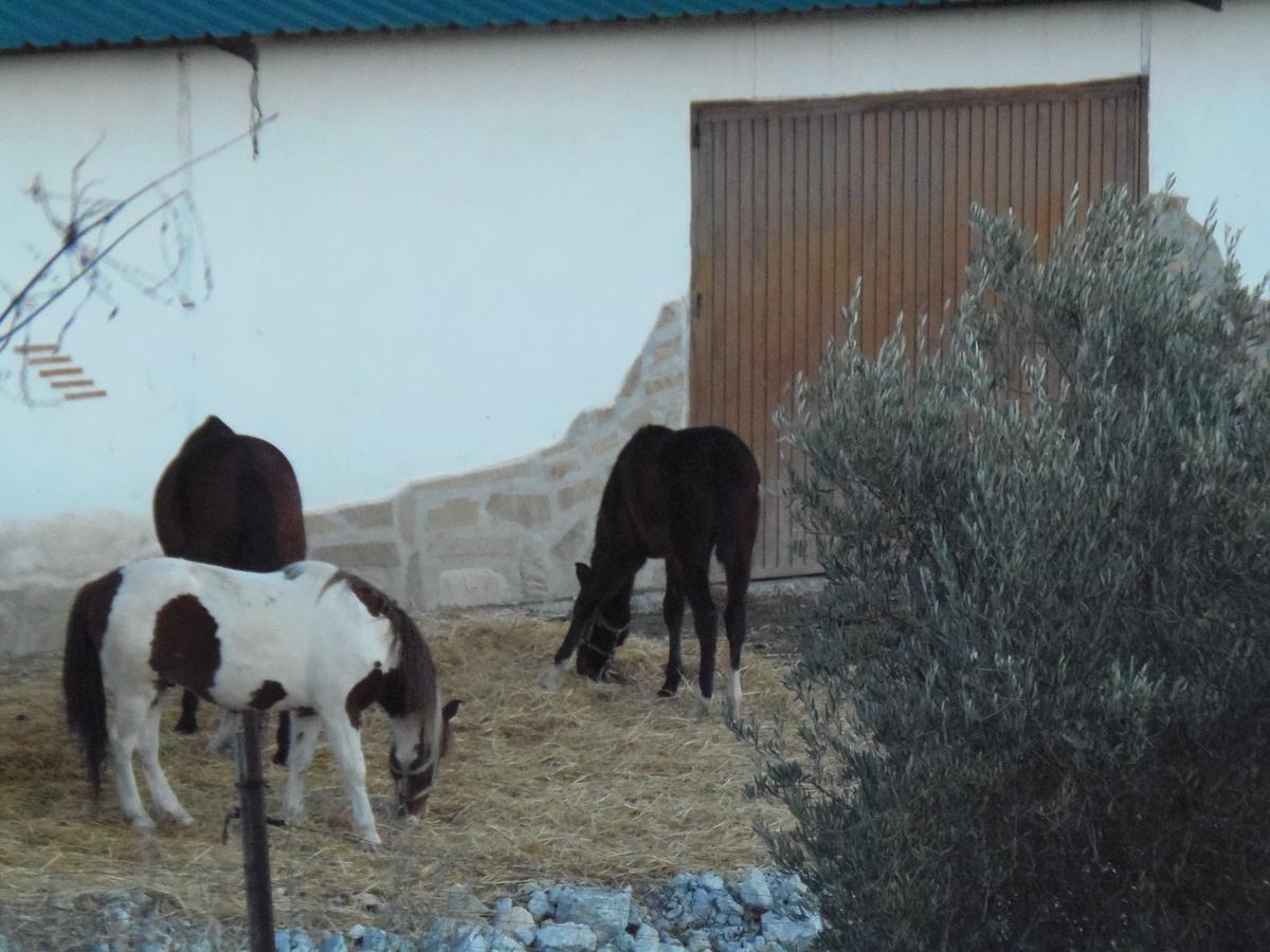 Cortijo Moyano Affittacamere Alhama de Granada Esterno foto