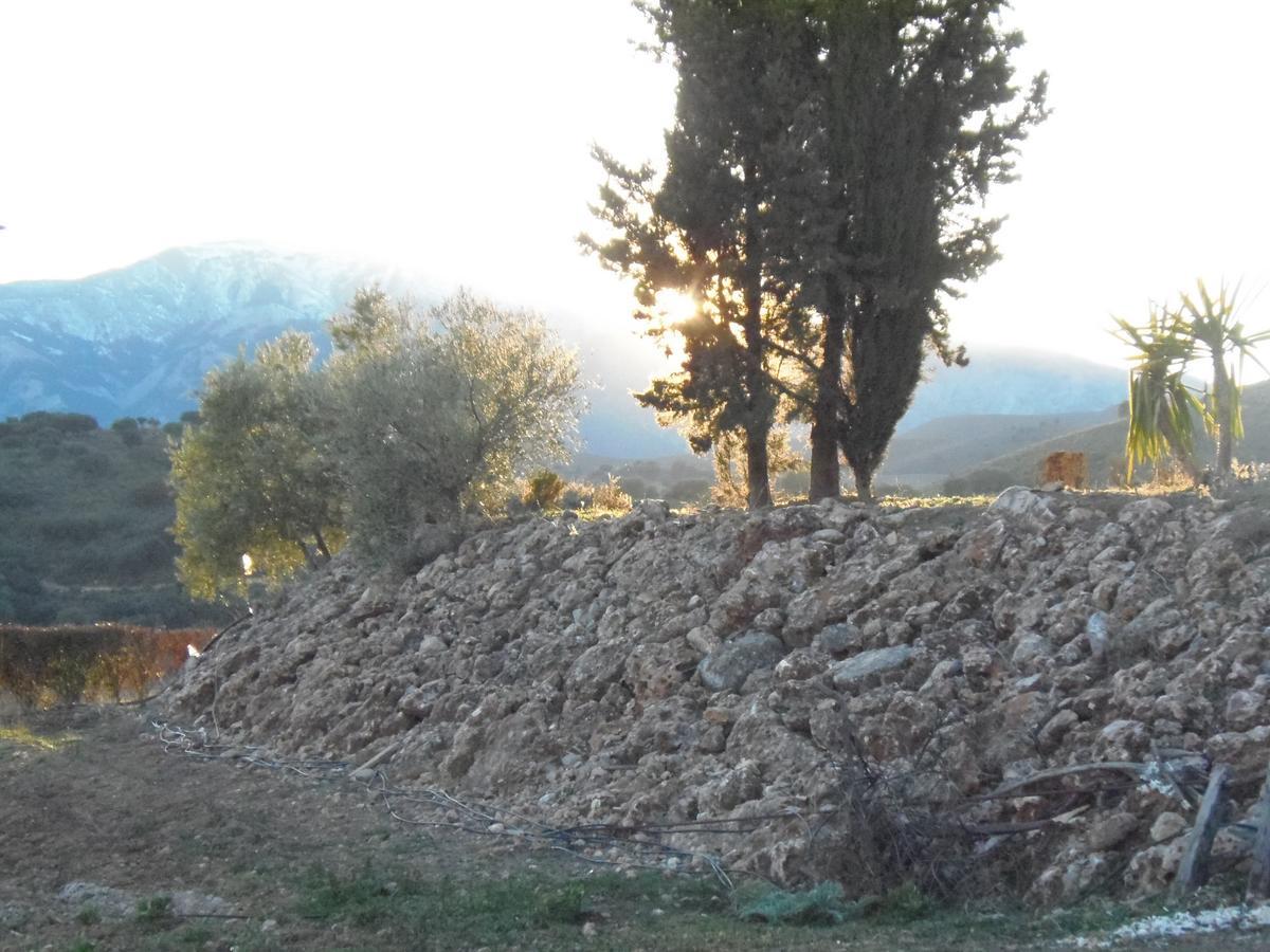 Cortijo Moyano Affittacamere Alhama de Granada Esterno foto